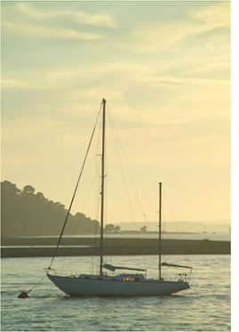 Boat in Poole Harbour