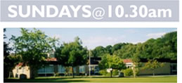 Baden Powell School